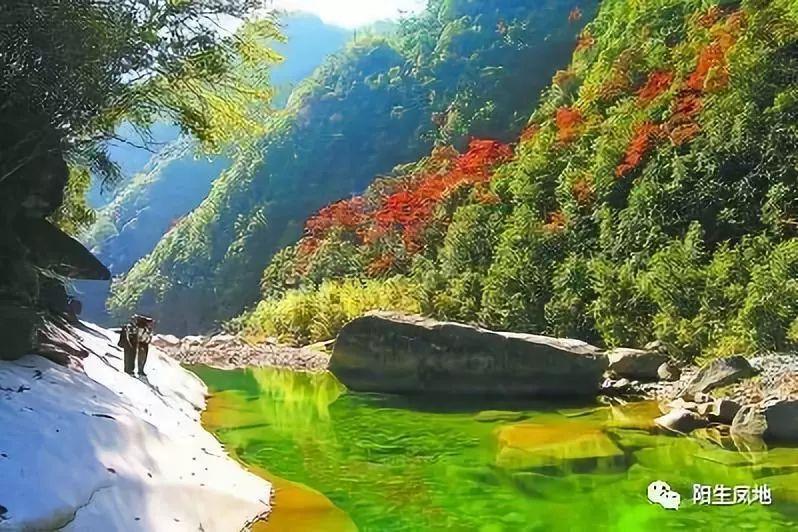 《繁花》爷叔范总相继下线,雪芝离世,不起眼的她成了大赢家